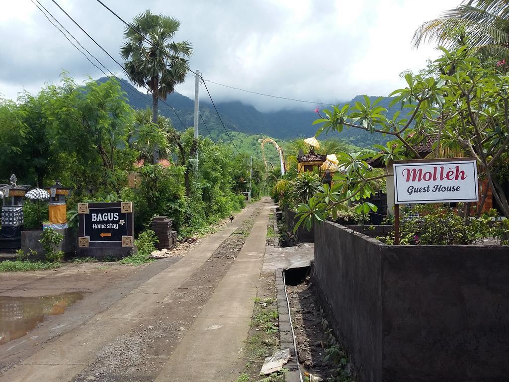Molleh Guest House Pemuteran  Exterior photo