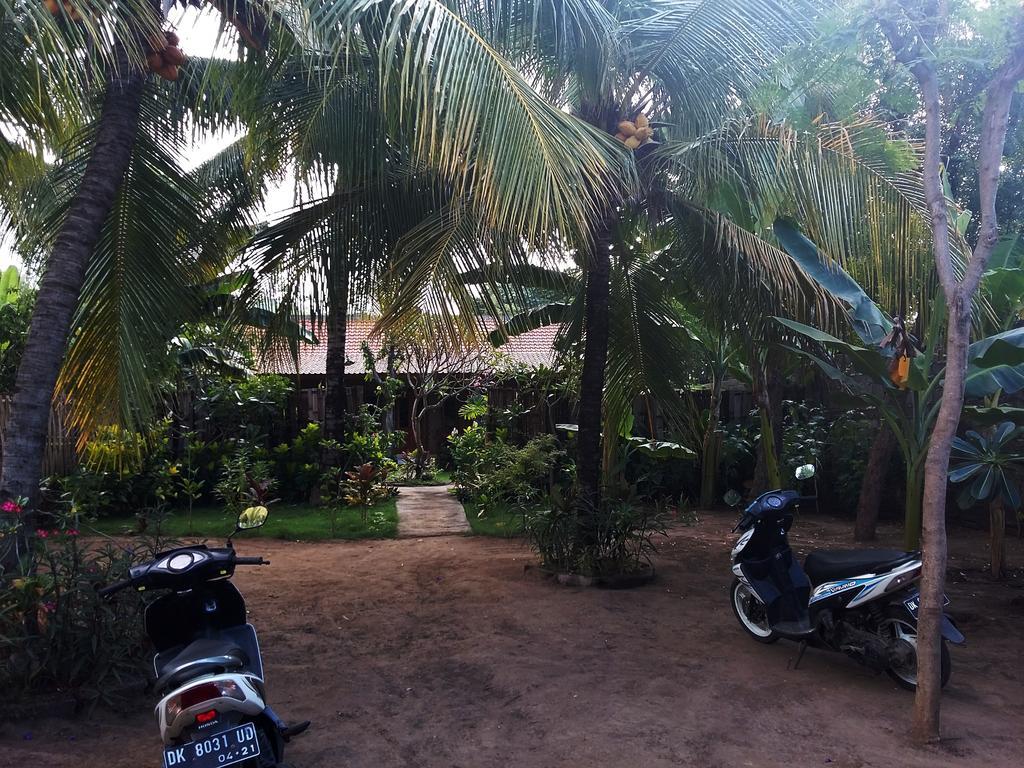 Molleh Guest House Pemuteran  Exterior photo
